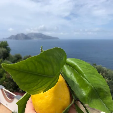 Holiday home Casa Lauretta A Marciano *